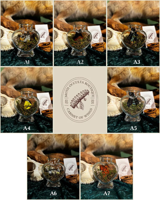 Herzförmiges Glasfläschchen mit Schmetterlingsflügel & Moos