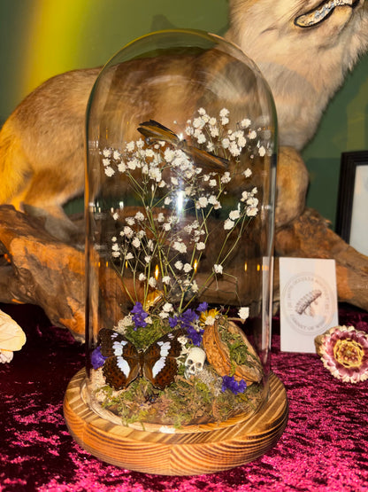 Diorama de papillons sous une cloche de verre avec de vraies fleurs séchées