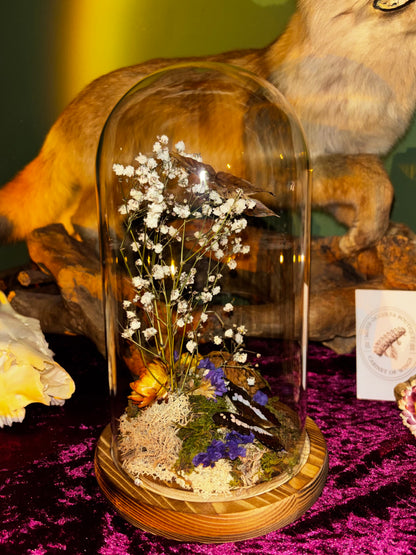 Diorama de papillons sous une cloche de verre avec de vraies fleurs séchées