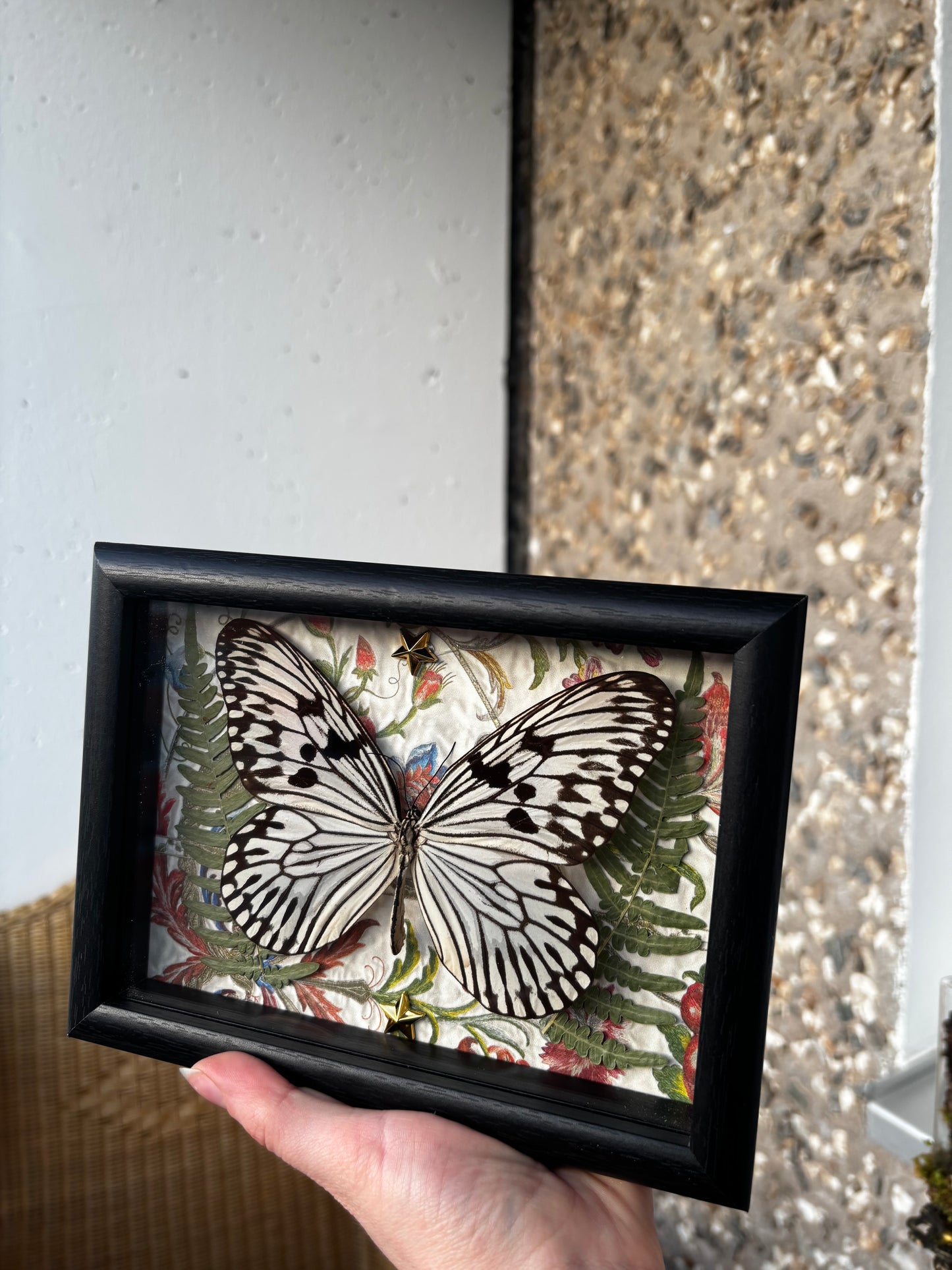 Luminous Wings - Occult insect preparation