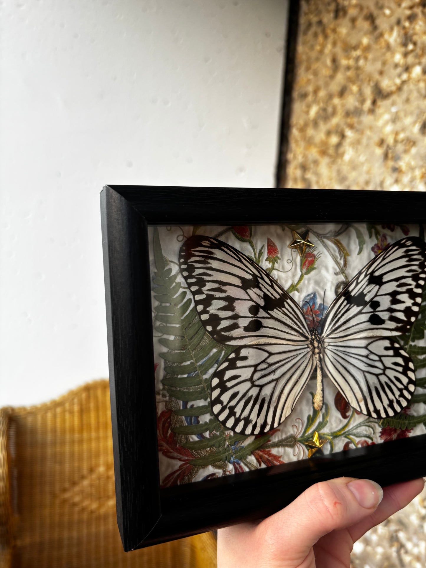 Luminous Wings - Occult insect preparation