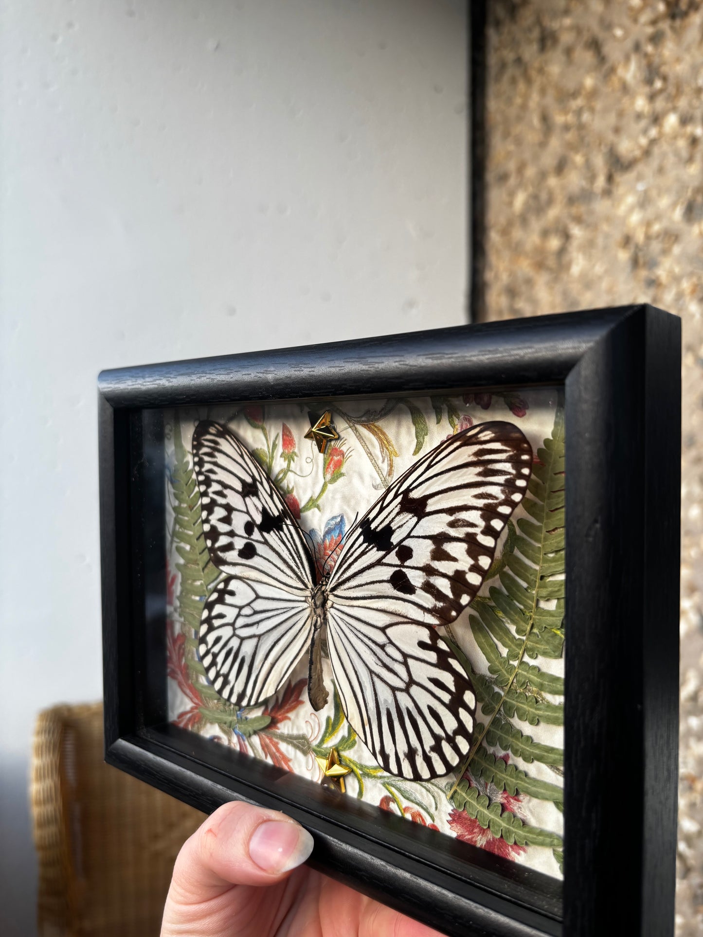 Luminous Wings - Occult insect preparation