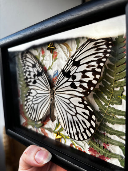 Luminous Wings - Occult insect preparation