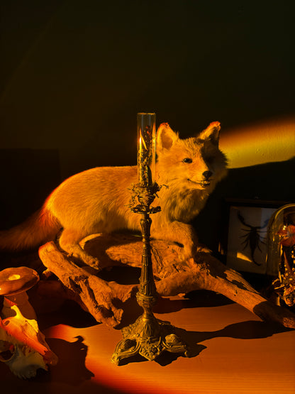 Vintage Kerzenständer mit Käfern