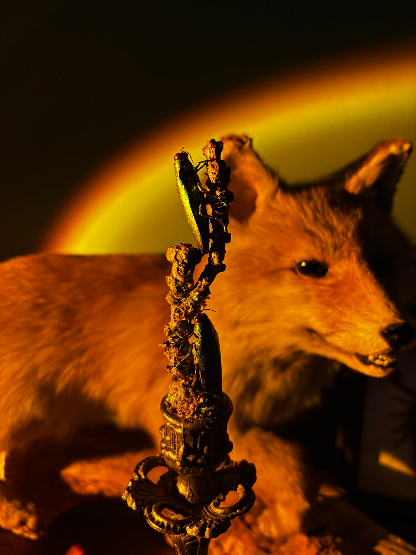 Vintage Kerzenständer mit Käfern