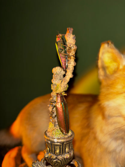 Vintage Kerzenständer mit Käfern
