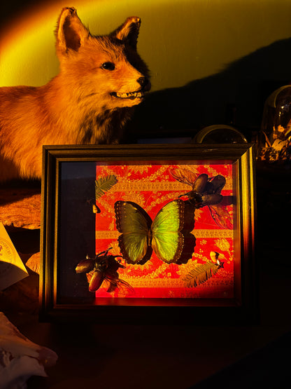 Emerald Relic - Schmetterling mit Käfern