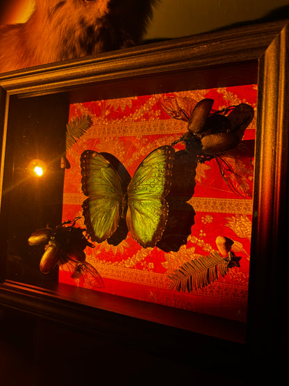 Emerald Relic - Schmetterling mit Käfern