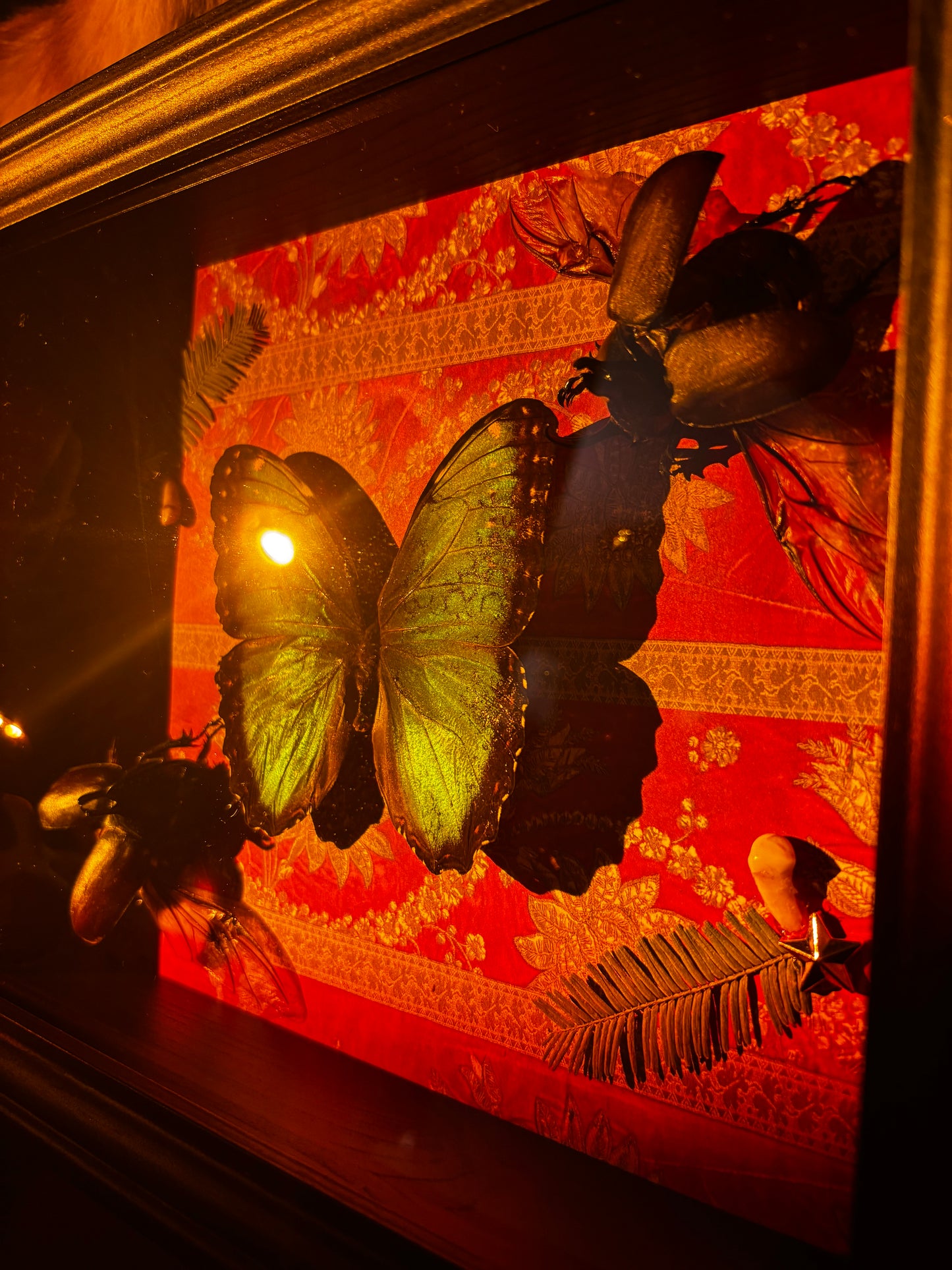 Emerald Relic - Schmetterling mit Käfern