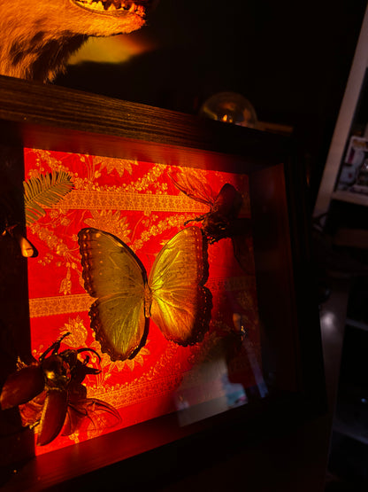 Emerald Relic - Schmetterling mit Käfern