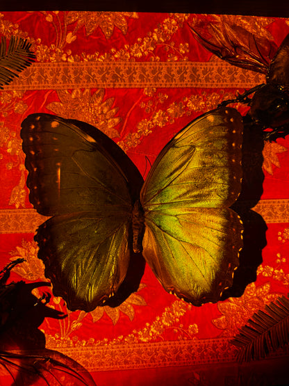 Emerald Relic - Schmetterling mit Käfern