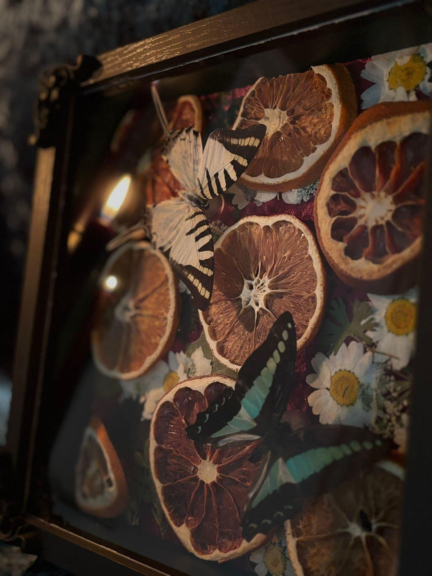 Schmetterling Shadow Box - Graphium sarpedon & antiphates