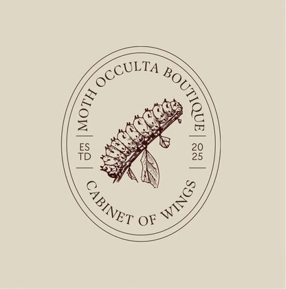 Chrysiridia rhipheus specimen – Real butterfly with teeth in a Gothic frame