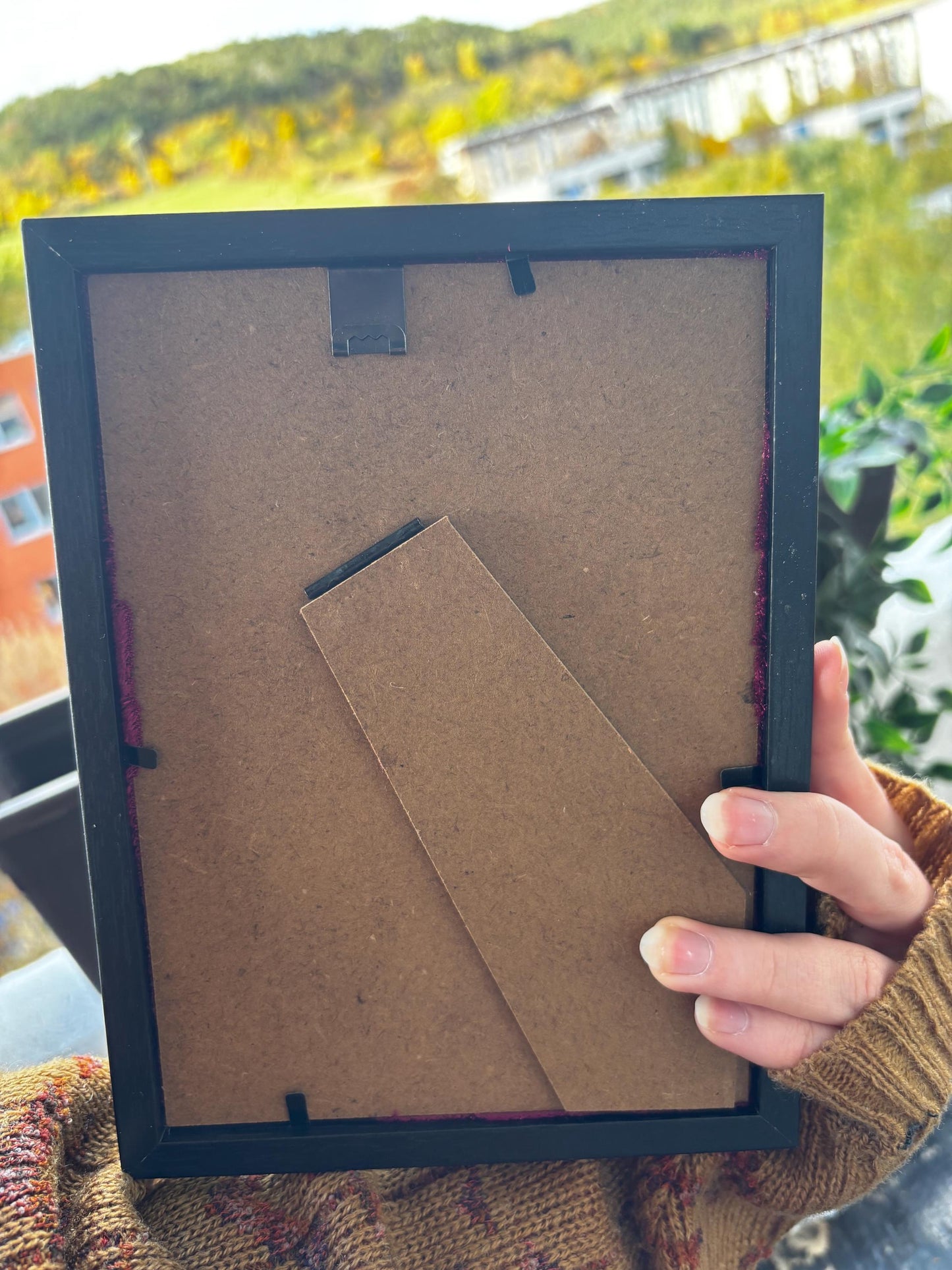 Handgefertigter Chrysirdia rhipheus im Bilderrahmen mit Samt-Hintergrund