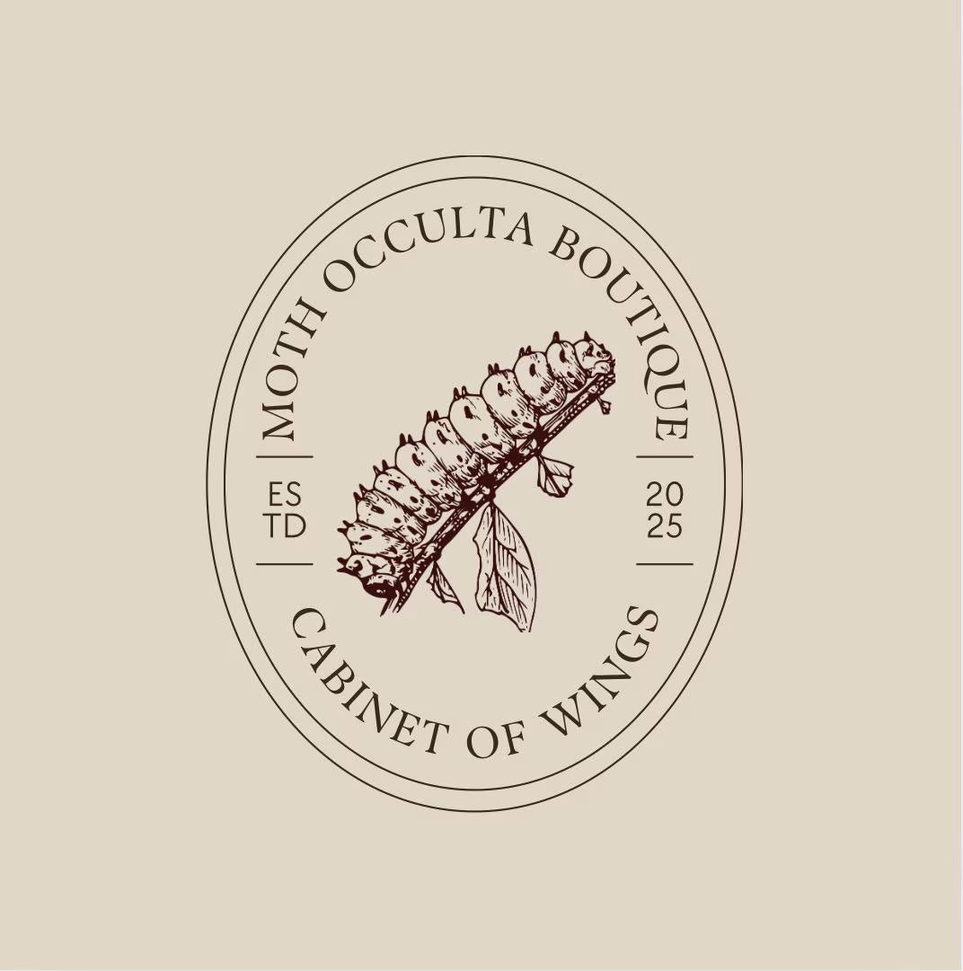 Schmetterling Barockstil Rahmen - Malachit Schmetterling (Siproeta stelenes)