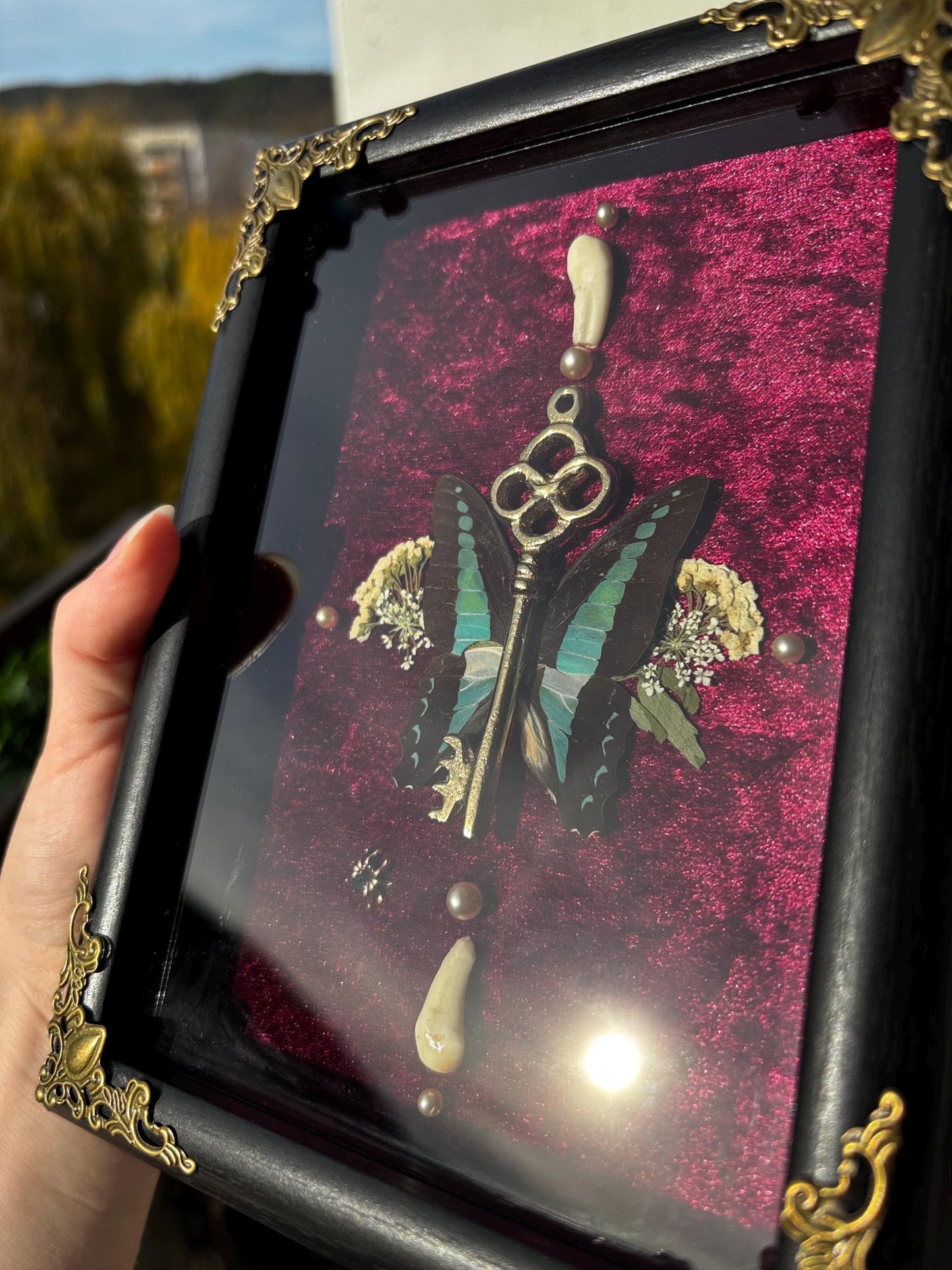 Echter Schmetterling & Schlüssel