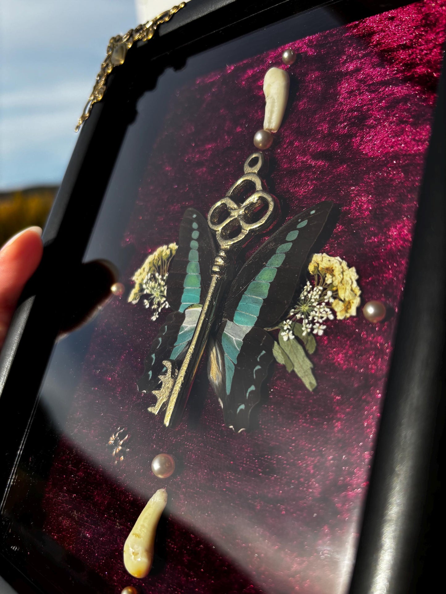 Echter Schmetterling & Schlüssel