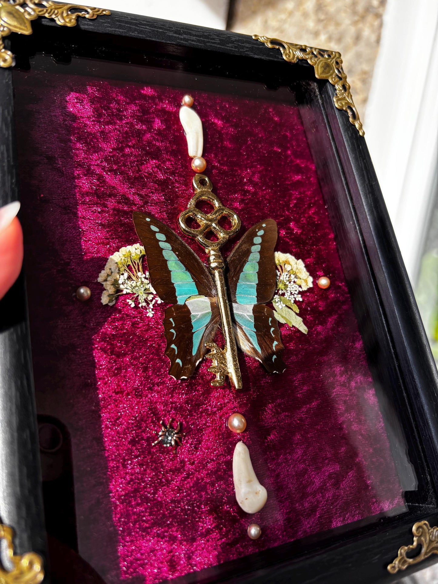 Echter Schmetterling & Schlüssel