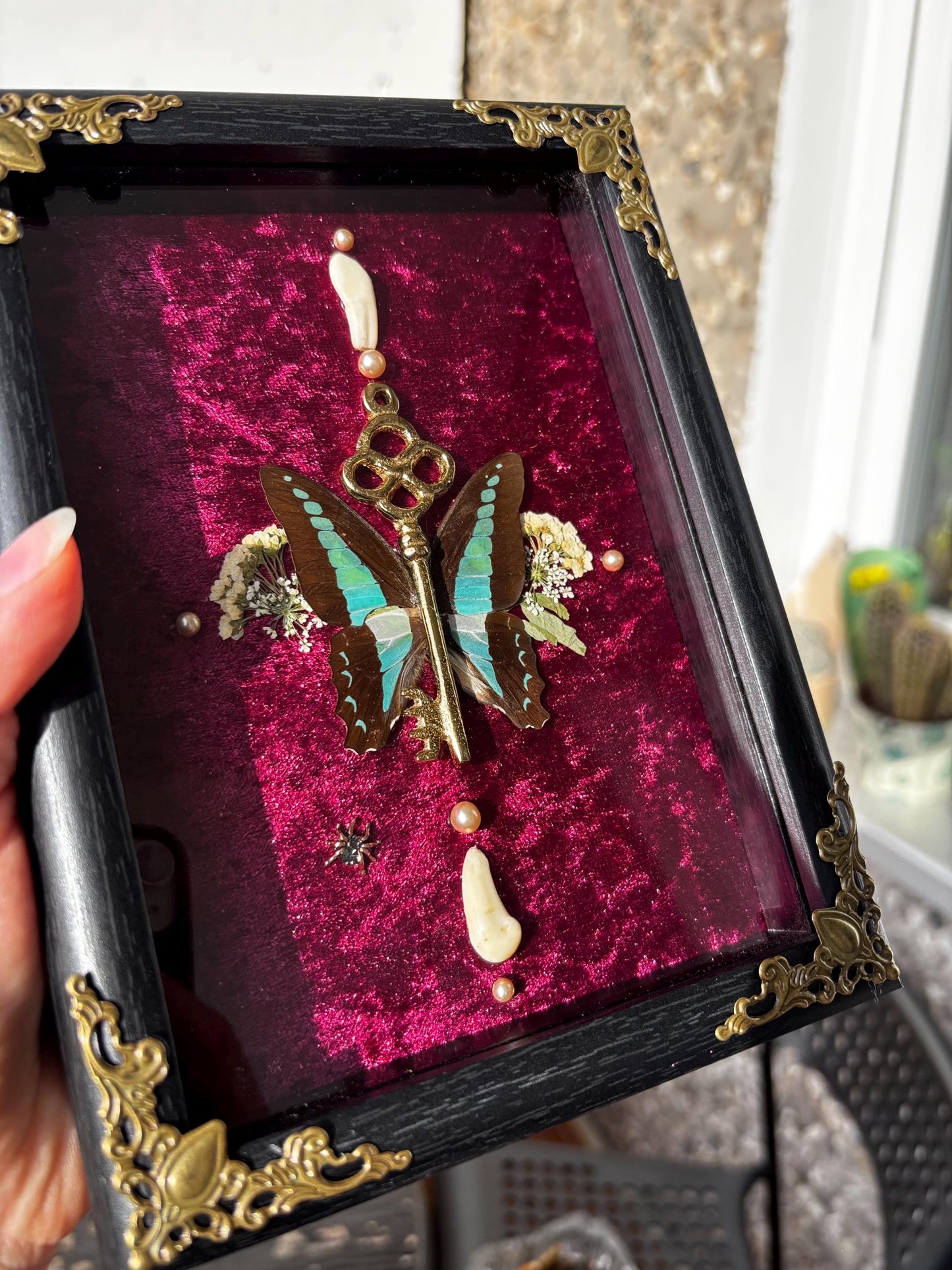 Echter Schmetterling & Schlüssel