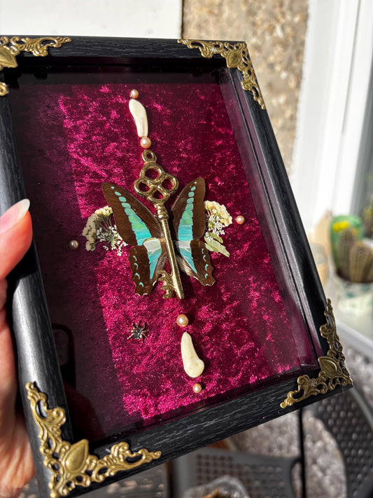 Echter Schmetterling & Schlüssel