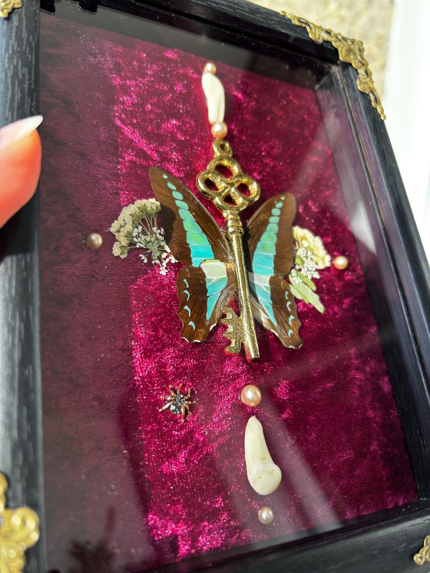 Echter Schmetterling & Schlüssel