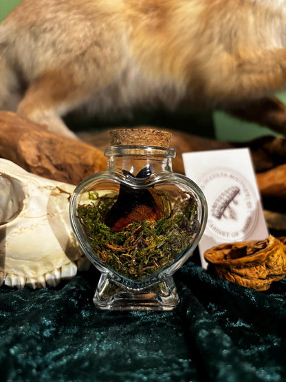 Heart-shaped glass bottle with butterfly wings and moss