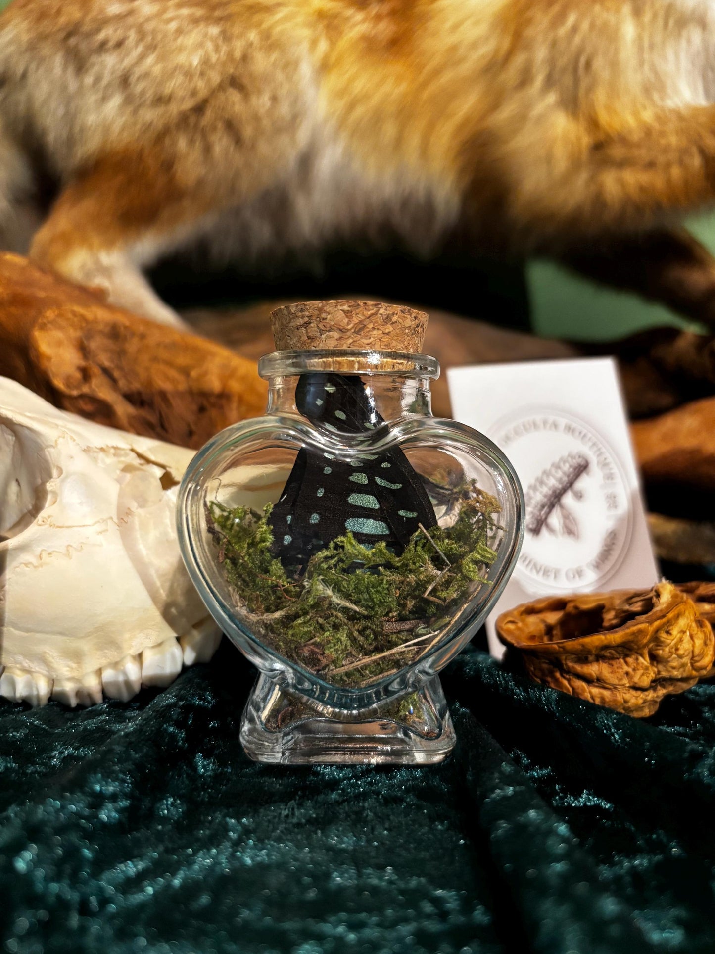 Herzförmiges Glasfläschchen mit Schmetterlingsflügel & Moos