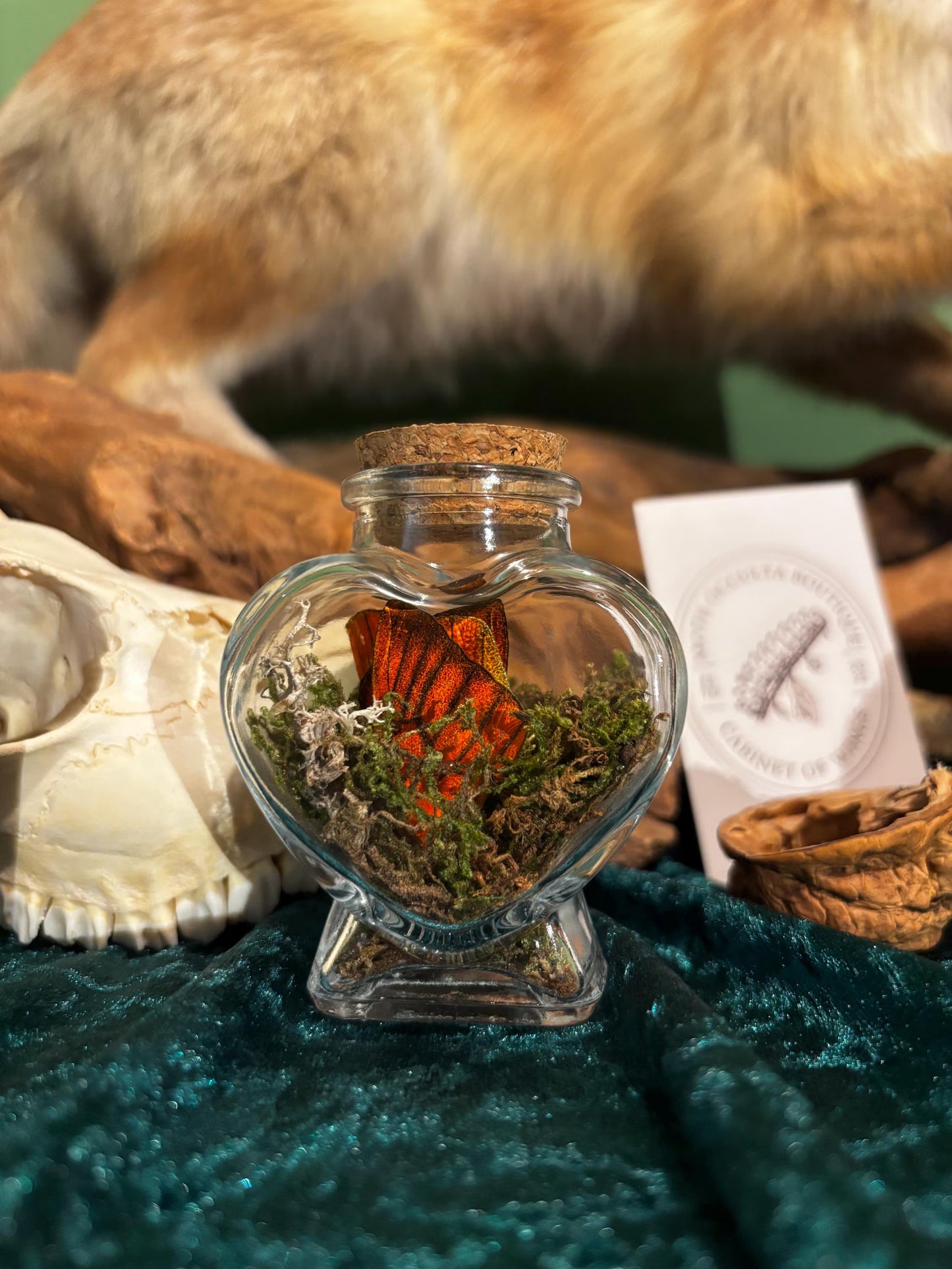 Herzförmiges Glasfläschchen mit Schmetterlingsflügel & Moos