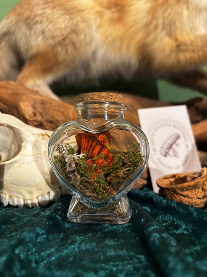 Heart-shaped glass bottle with butterfly wings and moss