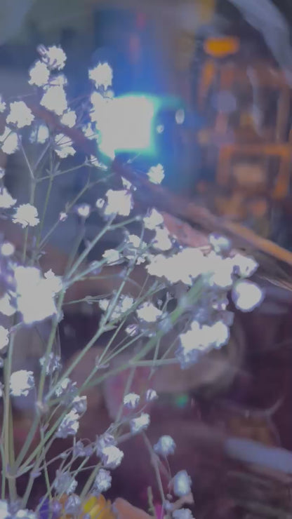 Diorama de papillons sous une cloche de verre avec de vraies fleurs séchées